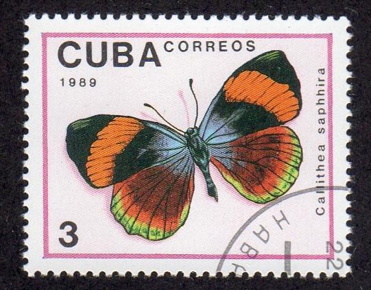 Cuba 3103 - Cto-nh - Callithea saphhira Butterfly