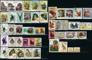 Monkey Tarsier Cangooroo Stamps Postage Collection Animal Kingdom Topical