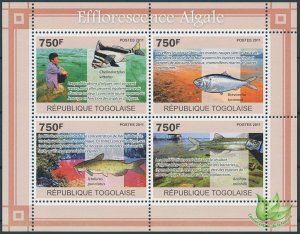 Togo 2011 MNH Environment Stamps Algal Bloom Fish Fishes Conservation 4v M/S