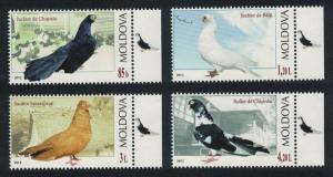 Moldova Breeds of Pigeon Birds 4v Mergins woth Pigeop MI#799-802