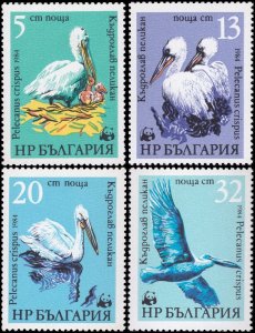 Bulgaria 1984 Sc 3008-3011 Bird Pelican CV $4.65