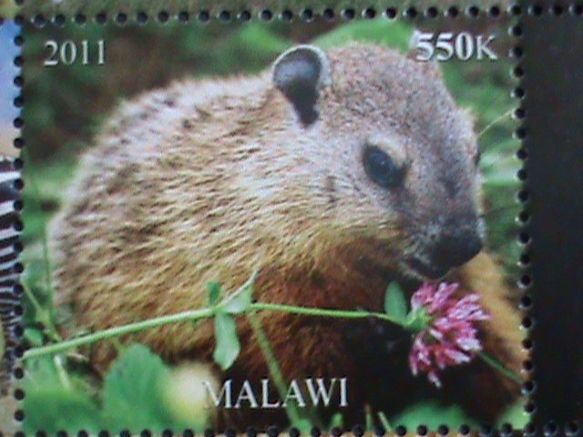 MALAWI-2011 ENDANGER ANIMALS-LOVELY ZEBRA-TIGER-DEER -ELEPHANTS-ECT. -MNH S/S