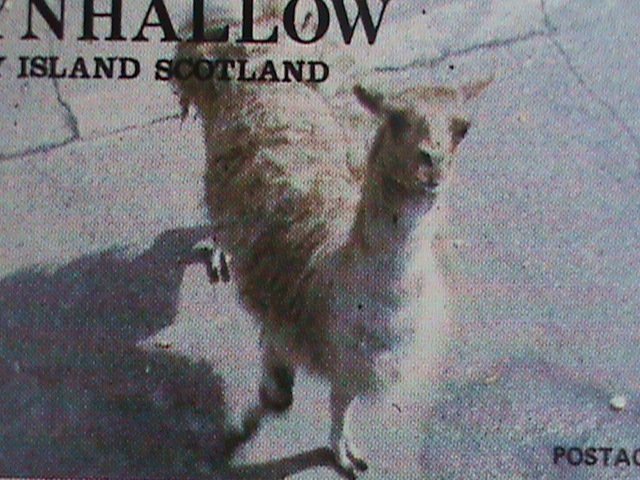 EYNHALLOW-SCOTLAND-WORLD LOVELY ANIMALS MNH SHEET VF- WE SHIP TO WORLD WID