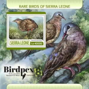 [950 07]- YEAR 2017 - SIERRA LEONE - BIRDS     1V   complet set  MNH/**