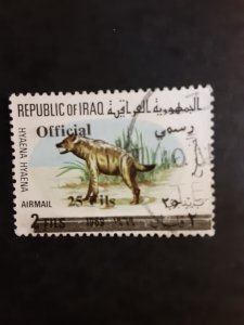 +Iraq #O313          Used