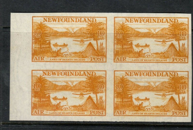 Newfoundland #C14a Extra Fine Never Hinged Imperf Block **With Certificate**