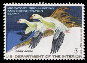 GENUINE SCOTT #RW44 XF-SUP MINT PRISTNE OG NH 1977 DUCK STAMP - ESTATE CLOSEOUT