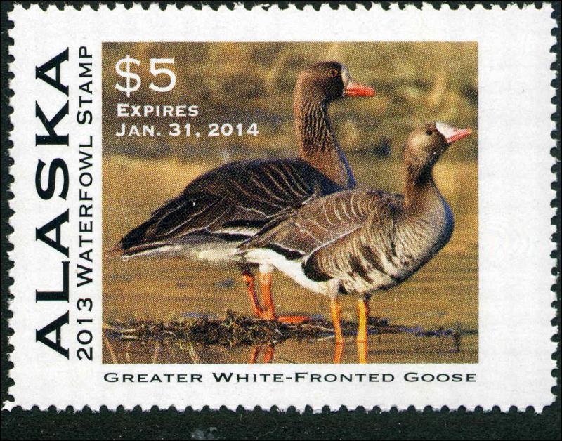 ALASKA #29 2013 STATE DUCK STAMP GREAT WHITE FRONTED GOOSE