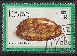 1980 Belize - Sc 471 - used VF - Cypraea Zebra