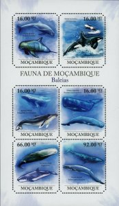 Whales Stamp Feresa Attenuata Balaenoptera Borealis Orcinus Orca S/S MNH #5008