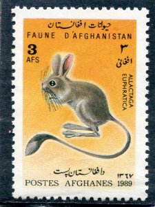 Afghanistan 1989 FAUNA MOUSE RAT Stamp Perforated Mint (NH)