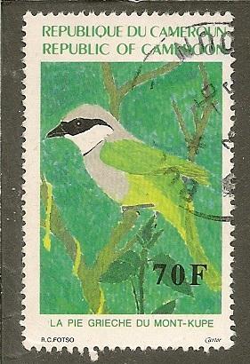 Cameroun   Scott 861     Bird