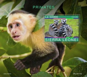 Sierra Leone - 2019 Primates on Stamps - Stamp Souvenir Sheet - SRL191113b