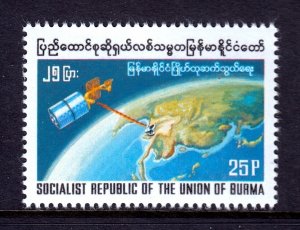 Burma - Scott #272 - MNH - SCV $4.25