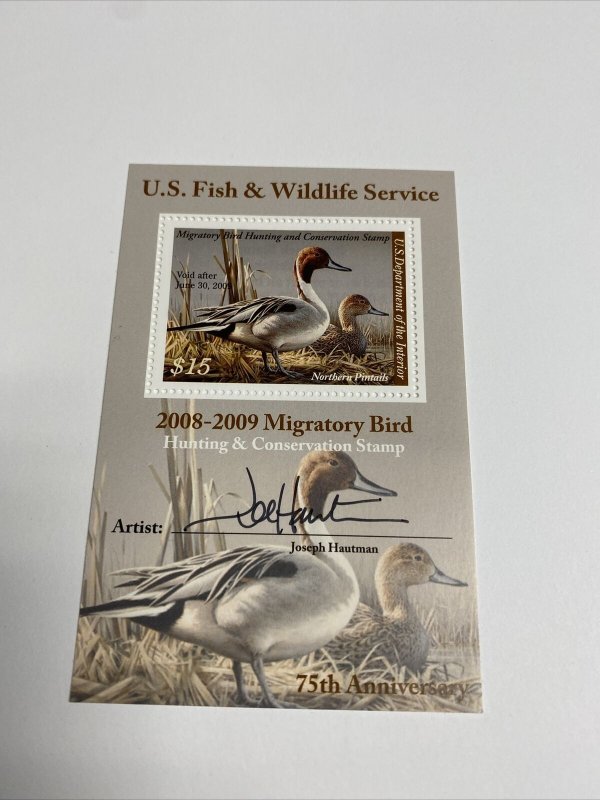 RW75B 2008 - US Federal Duck Stamp - Mint OG NH