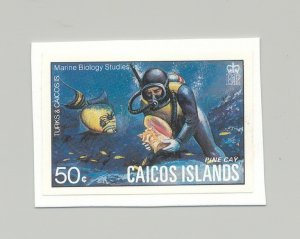 Caicos #17 Fish, Shells, Scuba Diving 1v Imperf Proof on Card