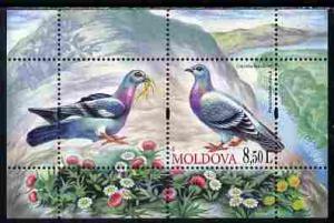 Moldova 2010 Birds - Pigeons perf s/sheet containing 2 va...