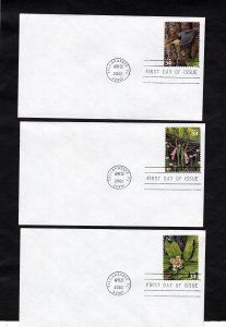 3611 A-J Longleaf Pine Forest, FDC set/10 no cachet