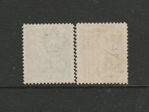 British Virgin Islands 1887/9 6d Both listed shades MM SG 38/9