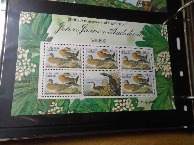 Anttigua & Barbuda   Birds   J J Audubon  #  913  Mini Sheet