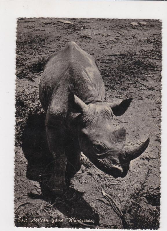 Aden 1954 East African Rhino Pic Aden Cancel Stamps Card ref R 17459