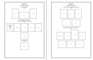 PRINTED ROMANIA [CLASS.] 1858-1942 STAMP ALBUM PAGES (76 pages)