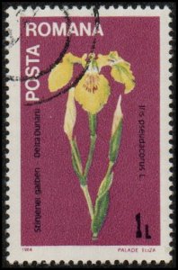 Romania 3195 - Cto - 1L Iris (1984)