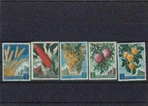 SAN MARINO  MOUNTED MINT OR USED STAMPS ON  STOCK CARD  REF R938