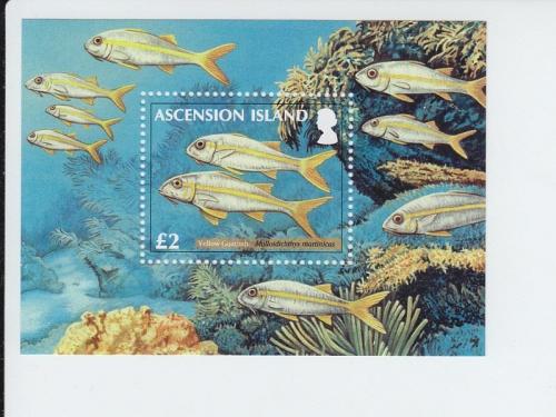 2012 Ascension Is Reef Fish II SS (Scott 1054) MNH