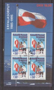 GREENLAND, 1995 10th. Anniversary of National  Flag Souvenir Sheet, used.