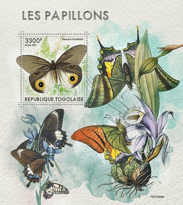 TOGO - 2021 - Butterflies - Perf Souv Sheet - Mint Never Hinged