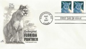 Florida Panther #4162