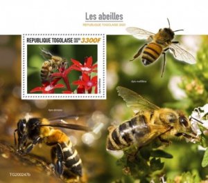 Togo - 2020 Western Honey Bees - Stamp Souvenir Sheet - TG200247b