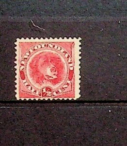 CANADA - NEWFOUNDLAND Sc 56 HINGED ISSUE OF 1896 - DOG