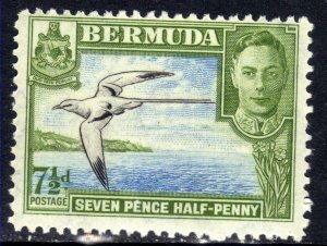 Bermuda 1938 - 52 KGV1 7 1/2d Green/ Blue Tropic Bird Umm SG 114b ( R813 )