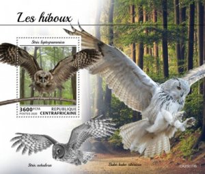 Central Africa - 2020 Owls on Stamps - Stamp Souvenir Sheet - CA200111b