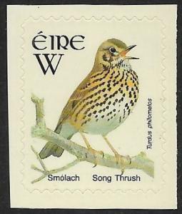 Ireland - 1343 - Song Thrush - W rate S/A
