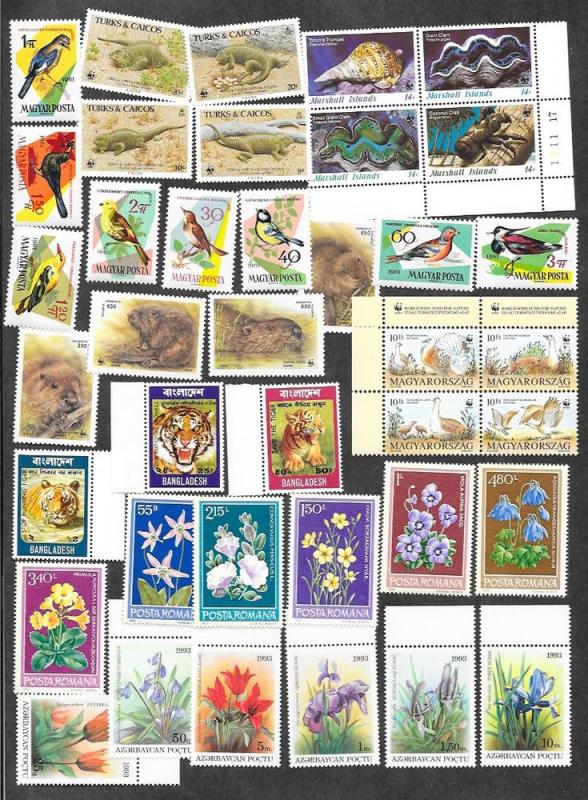 Worldwide Mint Pictorials!