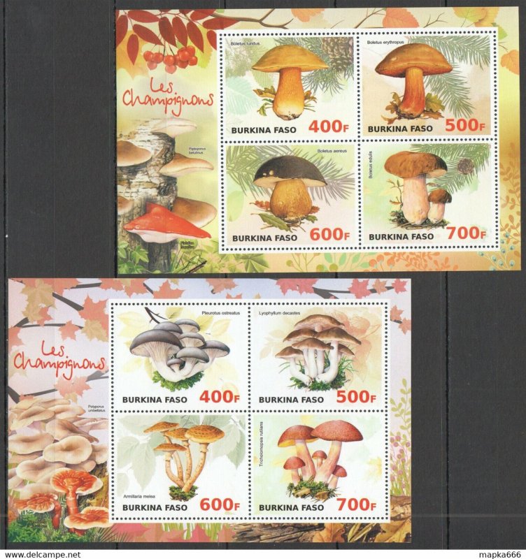 Mushrooms Champignons Nature 2Kb ** Ja43