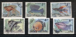 Bulgaria 1993 Marine Life Fish CTO