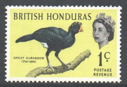 Br Honduras Scott 167 - SG202, 1962 Birds 1c MNH**