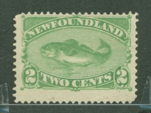 Newfoundland #46 Unused Single