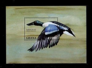 Ghana 1995 - Bird Northern Shoveler - Souvenir Stamp Sheet - Scott #1796 - MNH