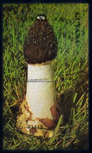 [68703] Guyana 1990 Mushrooms Pilze Champignons Souvenir Sheet MNH