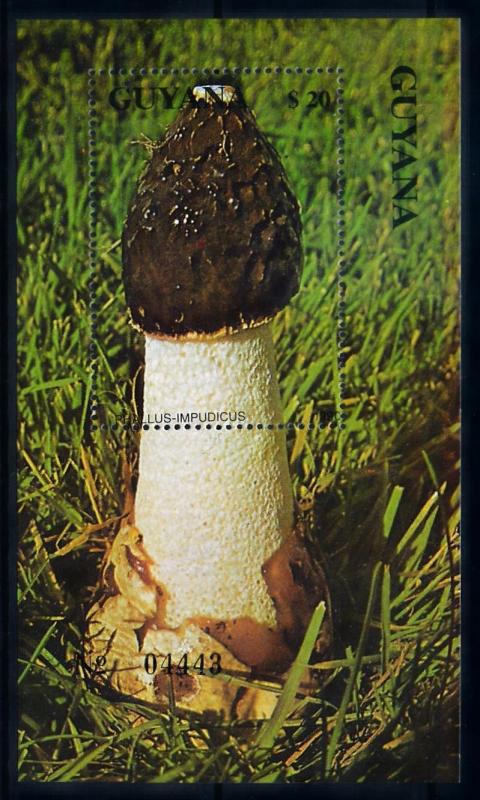 [68703] Guyana 1990 Mushrooms Pilze Champignons Souvenir Sheet MNH