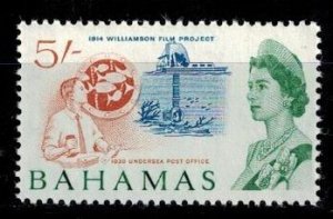 Bahamas 216 MNH XF   bright  color