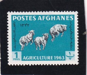Afghanistan   #   637      unused