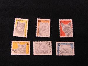 Bulgaria – 1989 Cats, Set of 6 Stamps