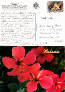 Picture Postcards, Bahamas, Seashells