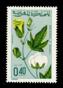 Morocco #165 MLH